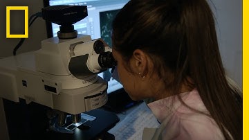 It’s the Diseases We Get As We Age That Kill Us | Breakthrough