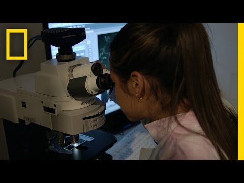 It’s the Diseases We Get As We Age That Kill Us | Breakthrough Instructional Video