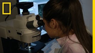 Its The Diseases We Get As We Age That Kill Us Breakthrough