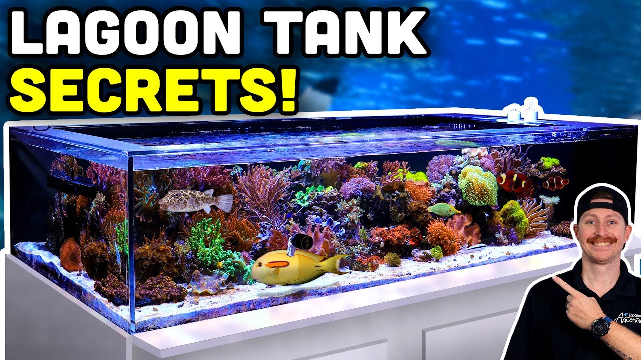 СУПЕР ПРОСТАЯ лагуна с натуральной морской водой! Экскурсия по полному резервуару!