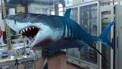 Sharkosaurus Rampage