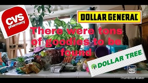 DUMPSTER DIVING | FOUND TONS OF GOODIES | DOLLAR GENERAL | DOLLAR TREE | CVS