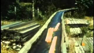 The Last Operating Lumber Flume in the US > General Discussion > AR15.COM