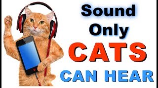 Sound Cats Can Only Hear | HQ