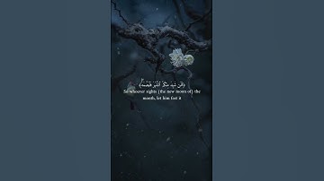 شهر رمضان...القارئ عبدالرحمن مسعد #شاشه_سوداء #اكسبلور #love #explore #حالات_الواتس_اب #قرآن