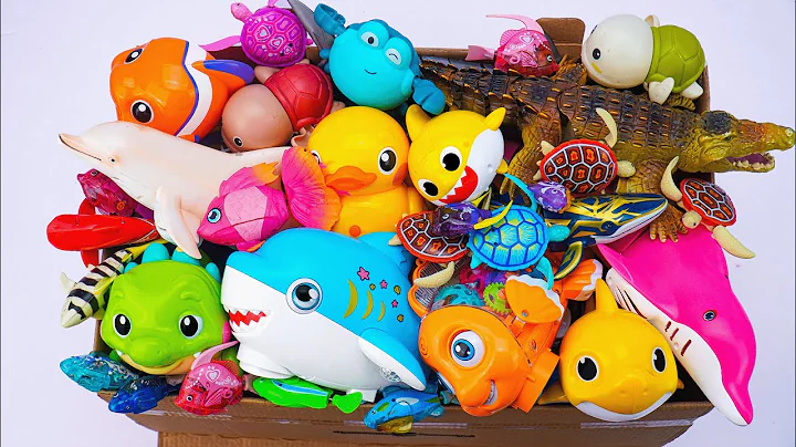 [toy asmr] Robo Fishing Playset & Zuru Alive Aquarium ASMR Satisfying with Unboxing Review Toys