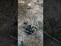 Dude in the forest built what looks like a lethal trap & had a cookout last night