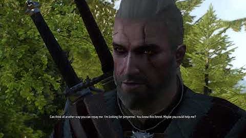 Witcher 3 Wild Hunt: Practicum in Advanced Alchemy