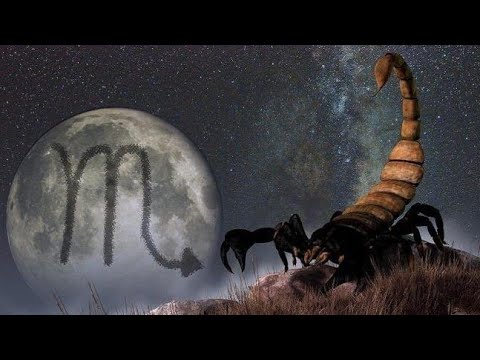 Video: Horoscop: Caracteristicile Semnului Scorpionului