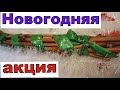 Новогодняя акция на черенки винограда . С Новым 2024годом !