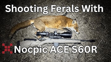 Night Out With The ACE S60R 1280 Resolution Thermal