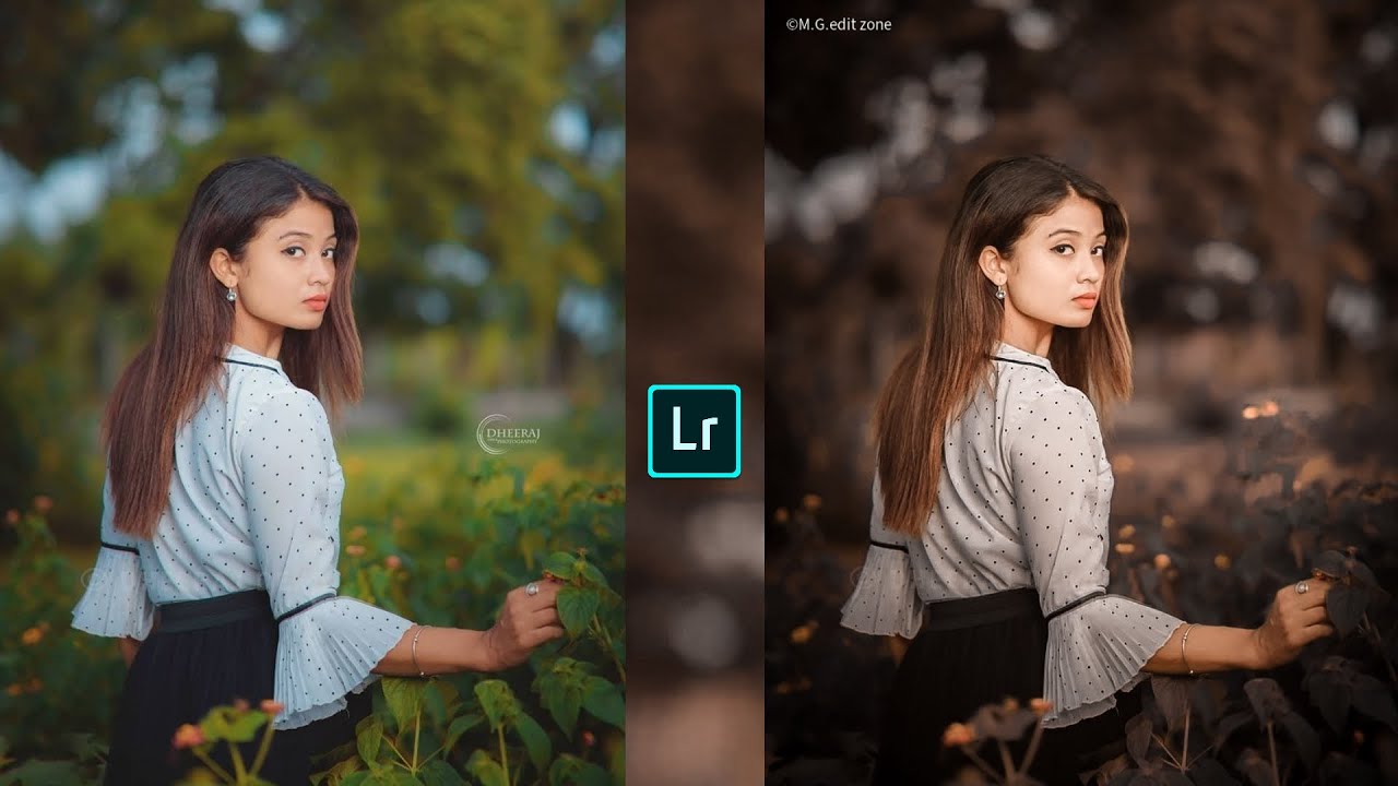 Dark brown tone Lightroom photo editing//preset download free//