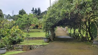 DIJUAL MURAH VILLA KEBUN BUAH DEKAT JALAN RAYA NASIONAL PUNCAK BOGOR