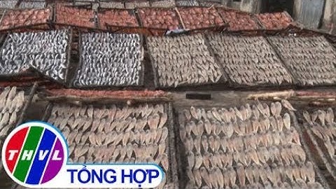 THVL | Về Cà Mau xem làng nghề khô cá truyền thống đón Tết