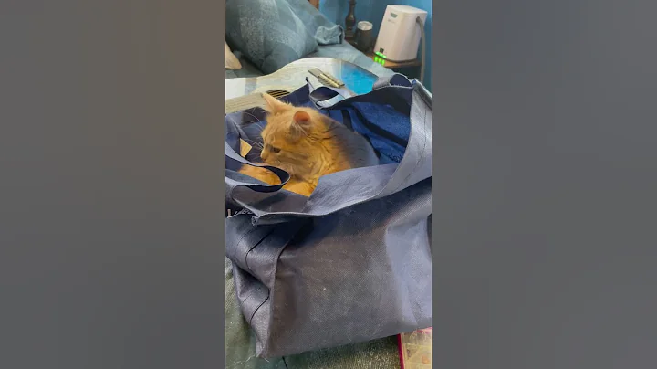 In the bag