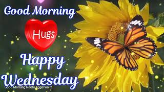 Happy Wednesday Wishes,Happy Wednesday Whatsapp Status Video,Happy Wednesday Gifs,Happy Wednesday