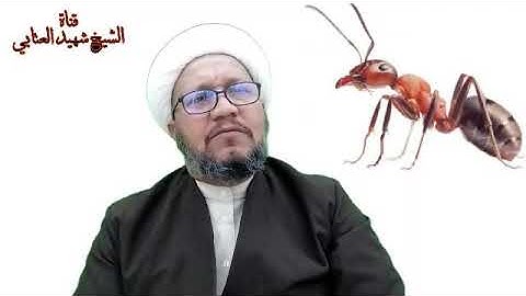 للتخلص من النمل في البيت