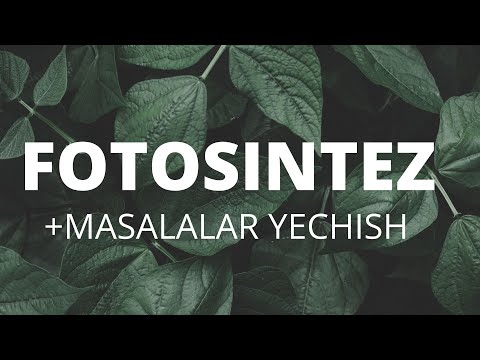 Video: Qanday fotosintetik mahsulot radioaktiv hisoblanadi?