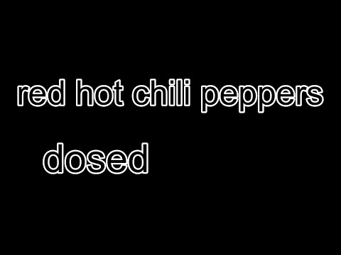 red hot chili peppers ~dosed~ベースで弾いてみた♪