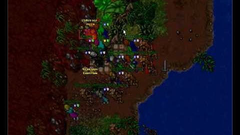 Tibia Isara Pk By Kongs