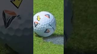 BMW Championship Fly Pushed Golf Ball & Made Him to Win $2Million