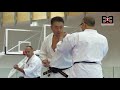 15th Bg seminar with Kancho Matsui 6-9 09 2018