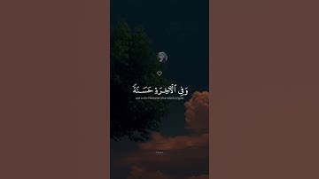 أكتب شيء تؤجر عليه 🤍 | القارئ #عبدالرحمن_مسعد #سورة_البقرة