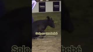 Fin a estos “espectáculos” Fin a estos “espectáculos”