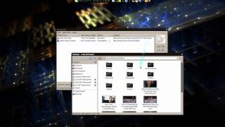 DamnVid Video Downloader \& Converter - Linux Mint 8