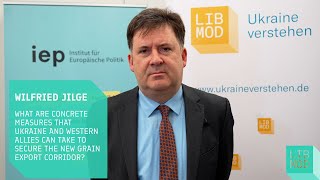 How can Ukraine secure the new grain export corridor? - Wilfried Jilge at Crimea Breakfast Debate