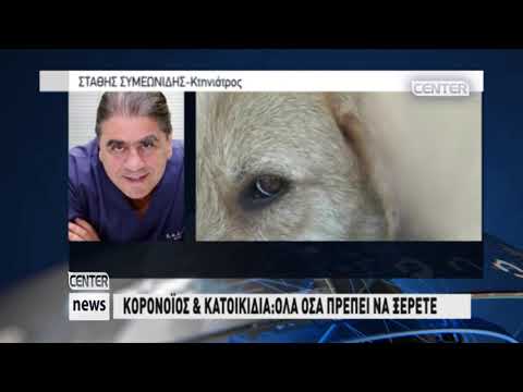 Βίντεο: CT Scan In Pets: Όλα όσα πρέπει να γνωρίζετε