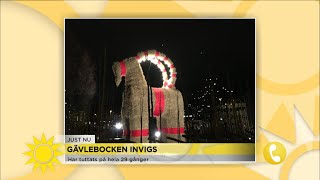 Gävlebocken invigs under söndagen: ”Svårt att göra ett attentat mot gävlebocke… - Nyhetsmorgon (TV4)