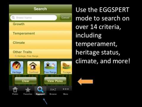 Pickin' Chicken Breed Selector by Mother Earth News iPhone App Demo