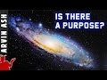 Does the universe have a purpose? Do humans have cosmic significance?