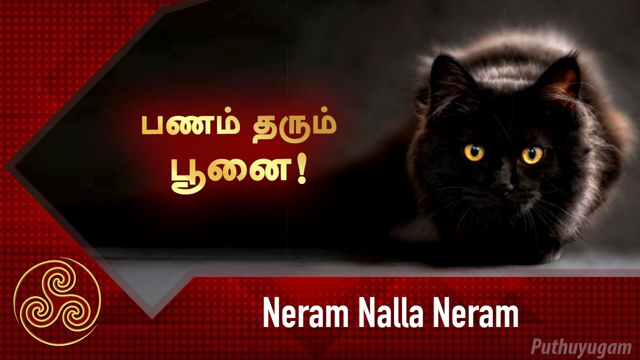     Neram Nalla Neram  Puthuyugam TV