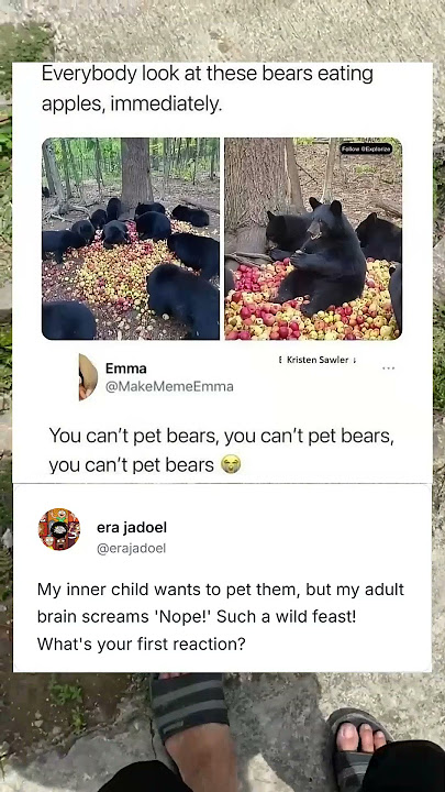 My inner child wants to pet them