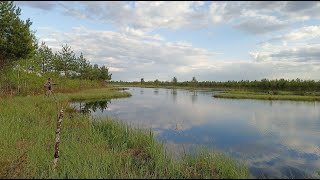 Ловля карася в карьерах на поплавок