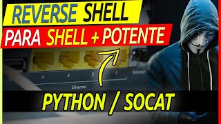 POWERFUL INTERACTIVE REVERSE SHELL with PYTHON and SOCAT - KALI LINUX 2020 [Educational Tutorial]
