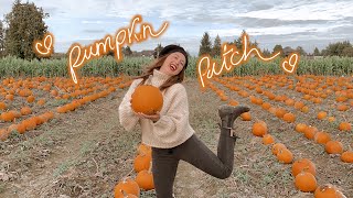 a vlog from a pumpkin patch (2020)