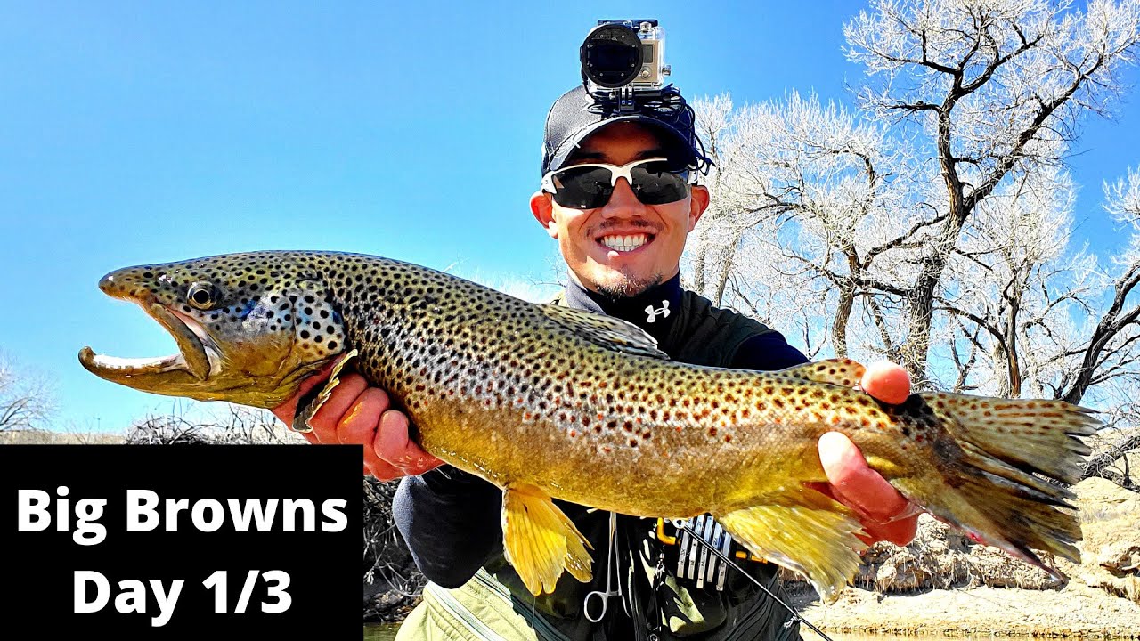 3 Day Fly Fishing Trip- PART 1- Huge Brown Trout!