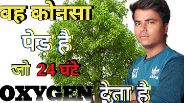वह कोनसा पेड़ है जो 24 घंटे oxygen देता है| is the tree which gives 24 hours oxygen #short #dkgyan