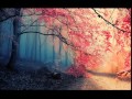 El Leila Tonight Arabic Song By Amr Diab El Leila Tonight Arabic Song By Amr Diab