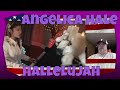 Hallelujah | Angelica Hale Music Video Cover - REACTION - so good! so smooth! so tasteful!