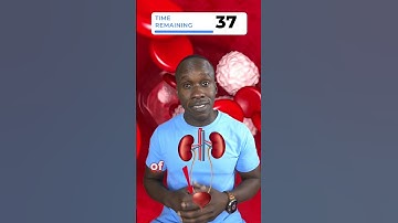 The Kidneys in 60 seconds #biology #physiology #cardiovascular #kidneyhealth #biologyteacher