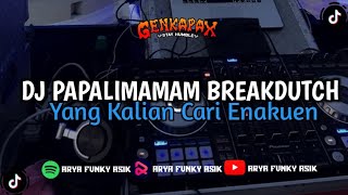 DJ PAPALIMAMAM BREAKDUTCH 2K23 🎧