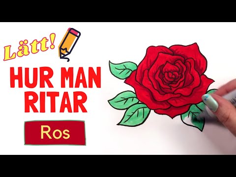 Hur man ritar en vacker stor ros – Lätt lär dig teckna-video med svenska röstinstruktioner!