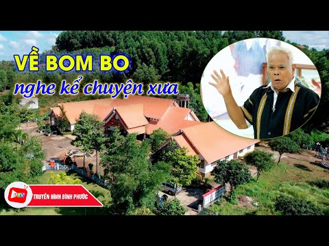 Video Tìm về sóc BomBo nghe tiếng chày giã gạo |Bình Phước... - youtube