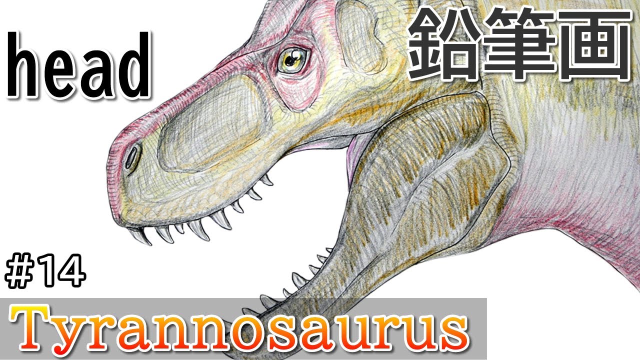 恐竜 動画 恐竜の描き方 ティラノサウルス 頭 鉛筆画 How To Draw A Dinosaur Tyrannosaurus 恐竜 Jp