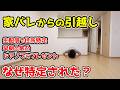 【恐怖】ドアノブに謎のプレゼント…生配信で家バレしました。