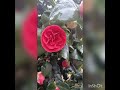 رسائل حب عالمية هذه الرسالة من كتاب العودة إلى الحب للكاتبة ماريان اللقاء زينة الراشد رسائل حب عالمية هذه الرسالة من كتاب العودة إلى الحب للكاتبة ماريان اللقاء زينة الراشد